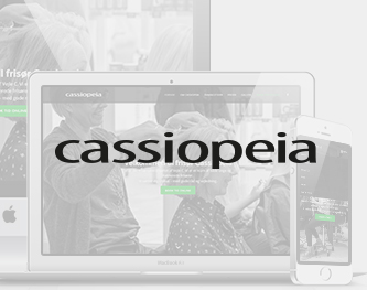 Responsivt Wordpress website